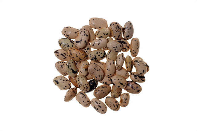 Frijol, Phaseolus vulgaris