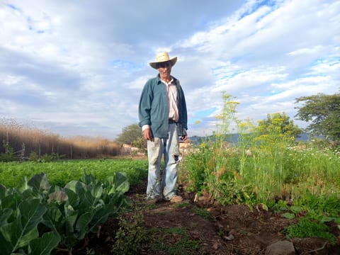 Rancho Los Alisos