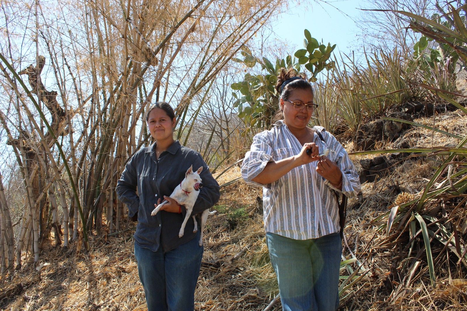 Jocelin e Isabel en la parcela de Zapopan, entre bambú y las plantas de cocuixtle