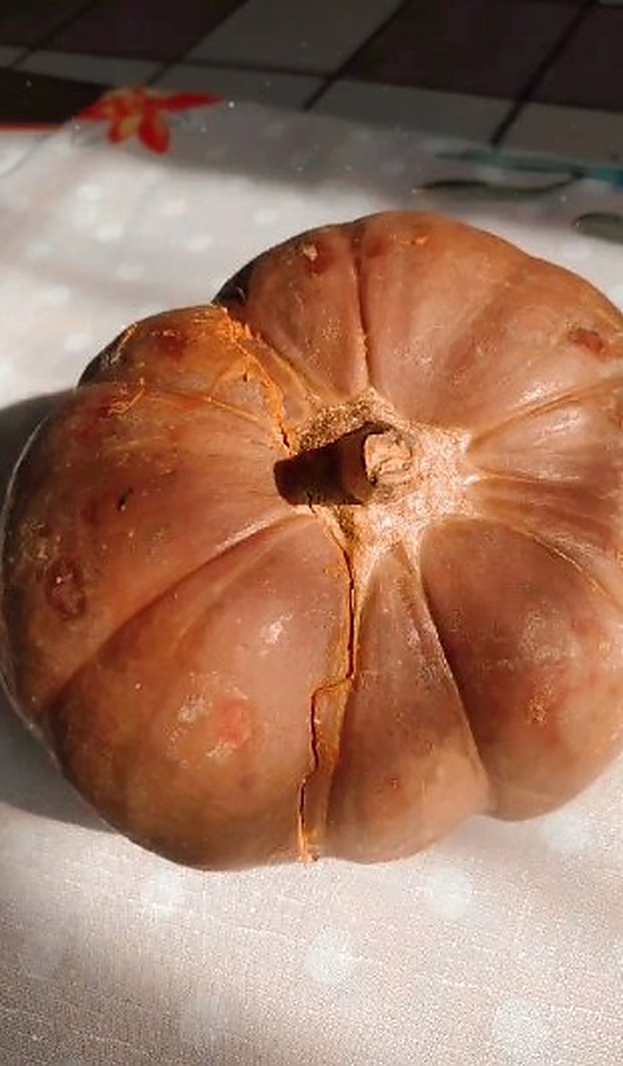 Calabaza entera, ingrediente de las empanadas de calabaza de La Pinta Tortillas