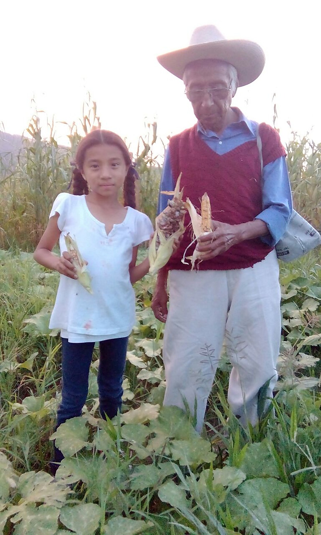 Un abuelo y su nieta sostienen elotes recién cosechados en la milpa de TOCHPAN